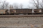 NS 10152